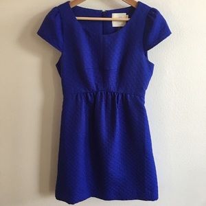 Anthropologie HD in Paris Dress!